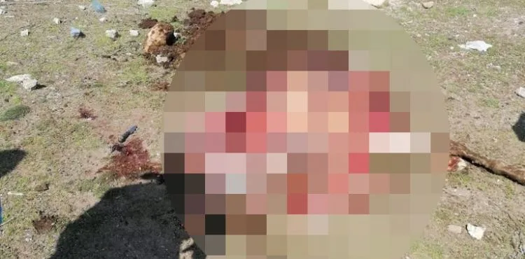 At keserken yakalanan 2 kişiye 27 bin 868 lira ceza