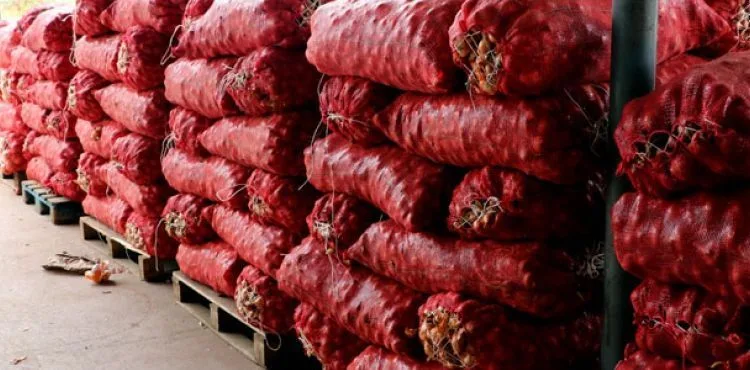 Koronavirüs nedeniyle halde fiyatlar yarı yarıya düştü