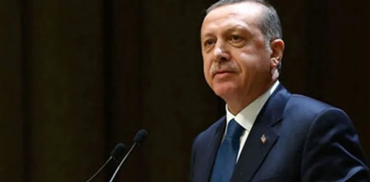 Cumhurbaşkanı Erdoğan, Japonya Başbakanı Abe ile görüştü