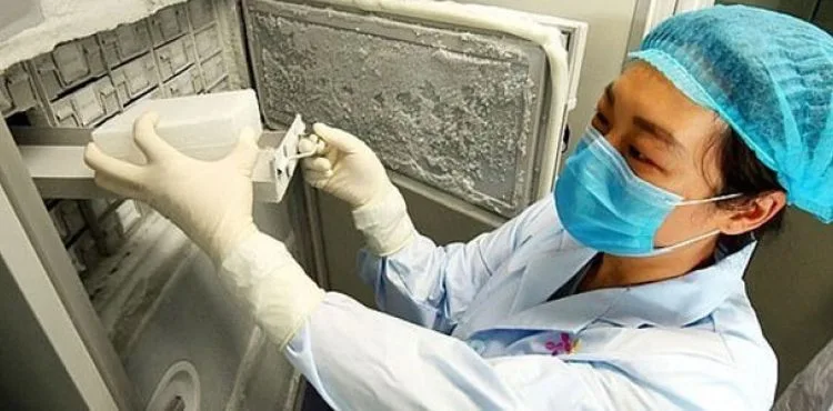 Vuhan'daki Viroloji Enstitüsü’nden çekilen 1500 virüsün saklandığı fotoğraflar basına sızdı