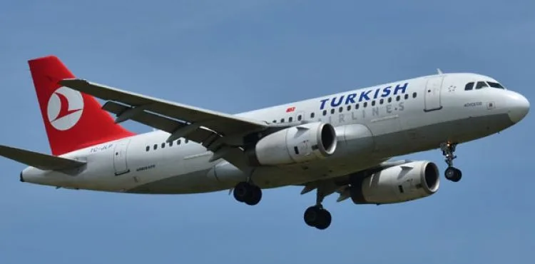 THY, evcil olmayan hayvanların Türkiye'ye girişine izin vermeyecek
