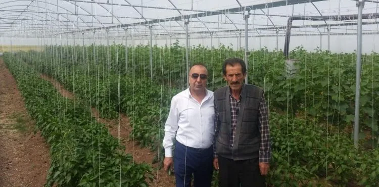 PINARBAŞI BELEDİYESİNİN ÇİFTÇİYE DESTEĞİ SÜRÜYOR ÇİFTÇİYE 30 BİN ADET ORGANİK BİBER VE DOMATES FİDESİ DAĞITILDI