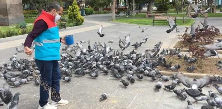 KOCASİNAN’DA SALGIN NEDENİYLE YEM BULMAKTA ZORLANAN DOĞADAKİ CANLILAR İÇİN SEFERBERLİK