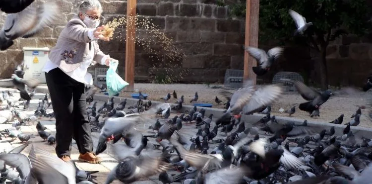 Kayseri'de sokağa çıkma kısıtlamasında güvercinleri beslediler