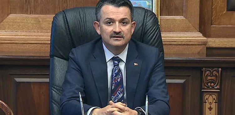 Bakan Pakdemirli: Bingöl'de telef olan hayvanları karşılama kararı aldık