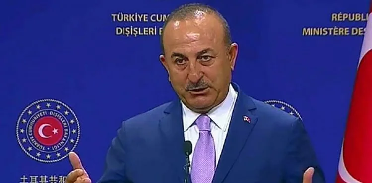 Bakan Çavuşoğlu: Türk bayrağını yakmak, böyle aciz davranışlar onlara yakışır