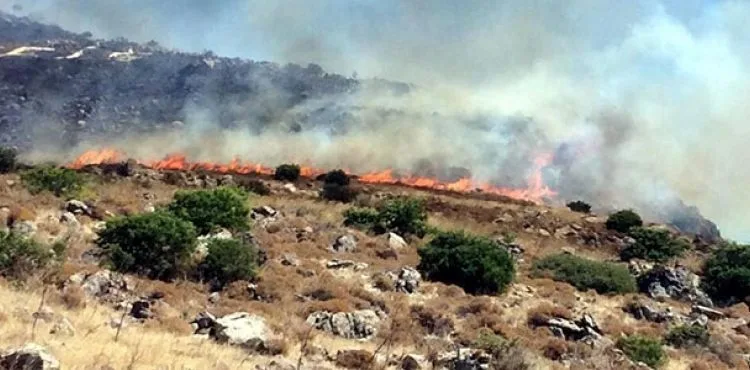Bodrum'da yerleşim yerleri yakınındaki makilik alanda yangın