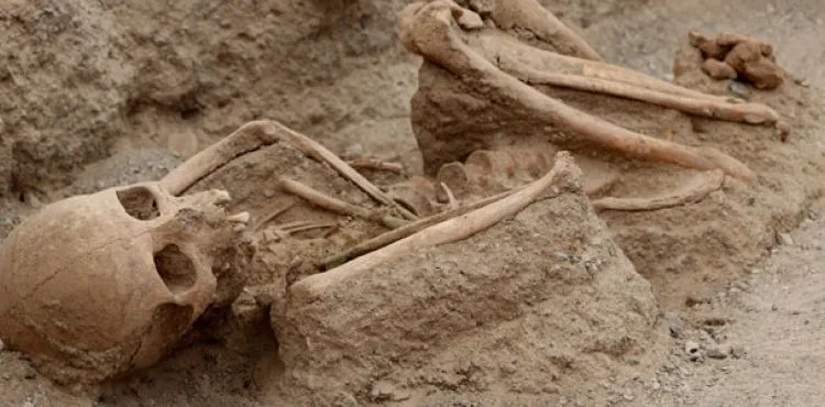Urartular'a ait 2 bin 750 yıllık nekropoldeki iskeletlerde çürük diş çıkmadı