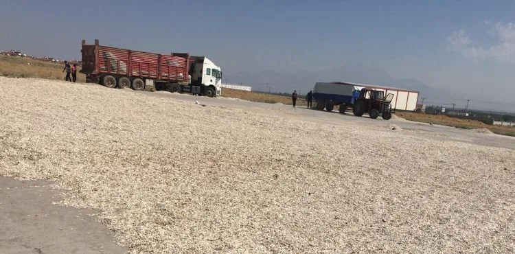 BÜYÜKŞEHİR’DEN ÇİFTÇİYE HEP DESTEK