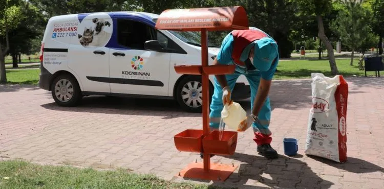 KOCASİNAN’DA HAYAT; TÜM CANLILAR İÇİN DEĞERLİ