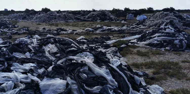 Doğu Akdeniz sahillerindeki tehlike: Denizler plastik çorbasına dönüşecek