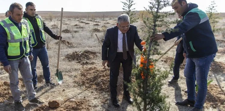 BÜYÜKKILIÇ ORMAN YANGINLARINA MEYDAN OKUDU, 38 BİN FİDAN BAĞIŞLADI