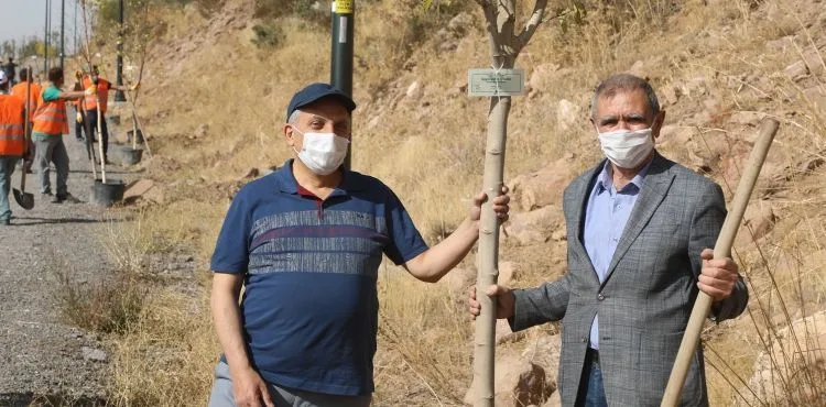 TALASLI MUHTARLAR ALİ DAĞI’NA AĞAÇ DİKTİ