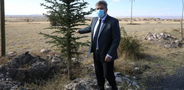 MELİKGAZİ’DE DİKİLEN YENİ AĞAÇLAR GELECEĞE NEFES OLACAK