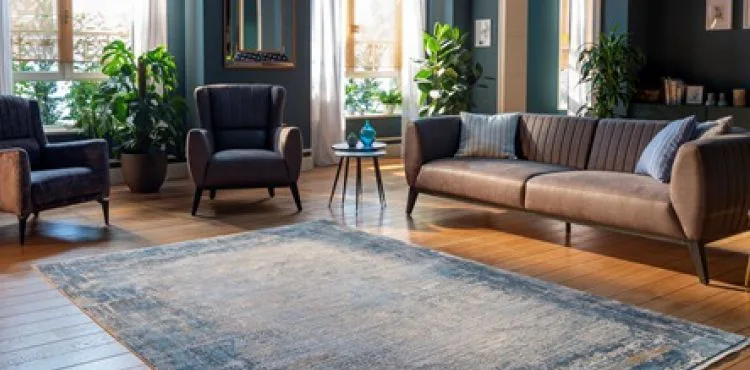 BİR GÜMÜŞSUYU GELİR, EVİN DEĞİŞİR