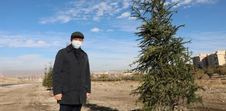 BAŞKAN ÇOLAKBAYRAKDAR, “110 FARKLI NOKTAYA 100 BİN AĞAÇ DİKTİK”