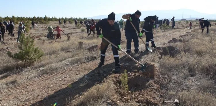 BÜYÜKŞEHİR ULAŞIM A.Ş’DEN HATAY’A 700 FİDAN