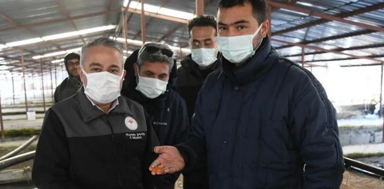 Kayseri, yavru alabalık ve gözlenmiş yumurta ihtiyacının yüzde 37’sini karşılıyor