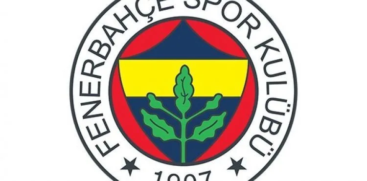 Fenerbahçe'de Tisserand'ın tedavisine başlandı