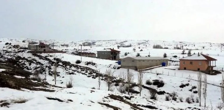 Kayseri'de mahalleye 'kuduz' karantinası