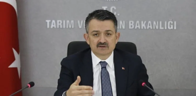 Bakan Pakdemirli: Karadeniz’de hamsi avı ek tedbirlerle başlayacak