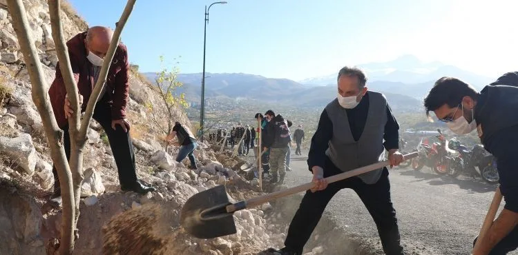 ALİ DAĞI’NA 500 ADET MEYVE AĞACI DAHA