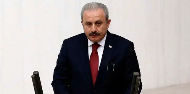 TBMM Başkanı Şentop: Yeni anayasa konusunda ortak niyet varsa elimi taşın altına koymaya hazırım