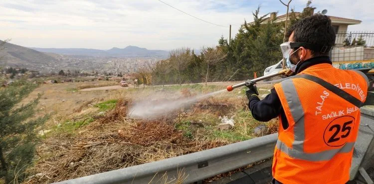 TALAS’TA SİNEK VE HAŞERATA ERKEN ÖNLEM