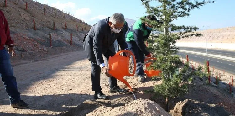 Büyükşehir Belediyesi Yeni Fidanlık yapacak