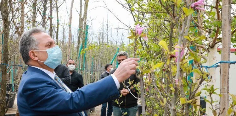 Talas’taki yeşil alan çalışmalarının merkez üssü olacak TALAS’A 10 BİN METREKARELİK YENİ FİDANLIK