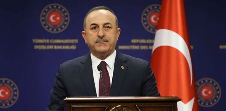 Bakan Çavuşoğlu: Vahşete ses çıkarmayanlar barış sürecinden bahsetmesin