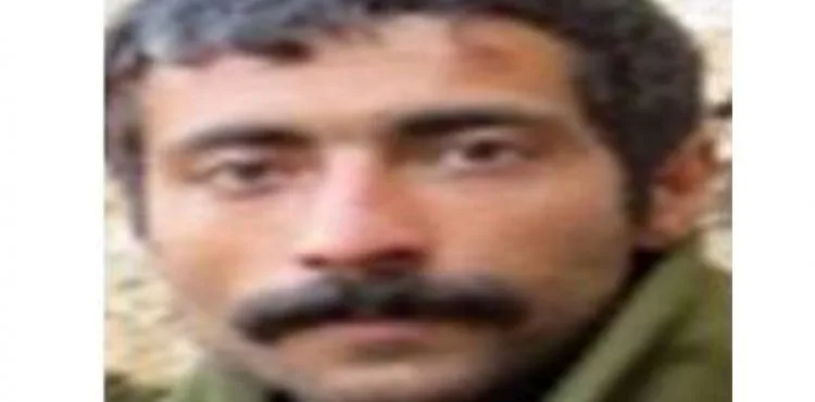 Mardin'de etkisiz hale getirilen 7 teröristten biri 'Gri' kategoride çıktı