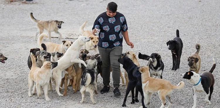 Liseli Berzan, sokak köpeklerine yuva kurdu