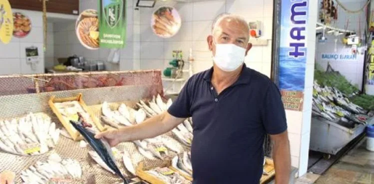 Balık pazarına gelenler, 'Marmara balığı mı?' diye soruyor