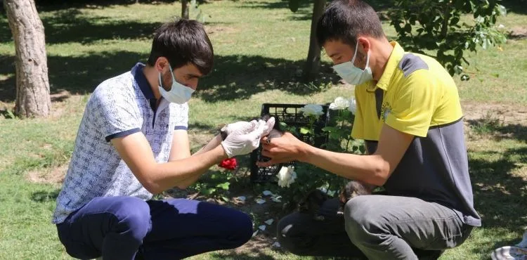 ANNESİZ KALAN YAVRU KEDİLERE YAHYALI BELEDİYESİ SAHİP ÇIKTI