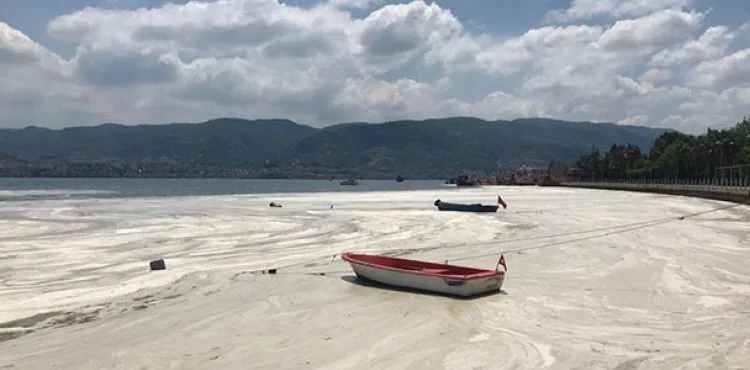 Bakan Kurum: Marmara Denizi'nde 10 bin 941 metreküp müsilajı bertaraf ettik