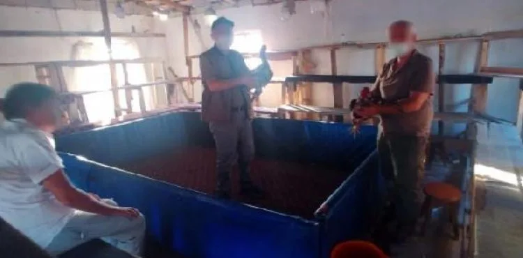 Horoz dövüştüren 5 kişiye 26 bin TL ceza