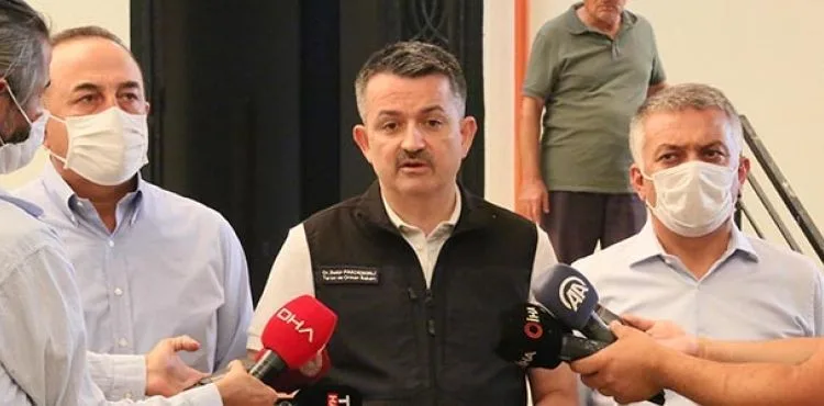 Bakan Pakdemirli: 6 bin dekar tarım arazisi yandı