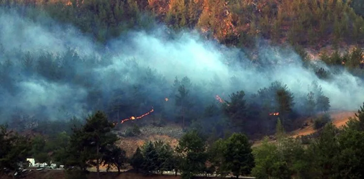 Adana’da 4 ilçedeki 6 noktada orman yangını sürüyor