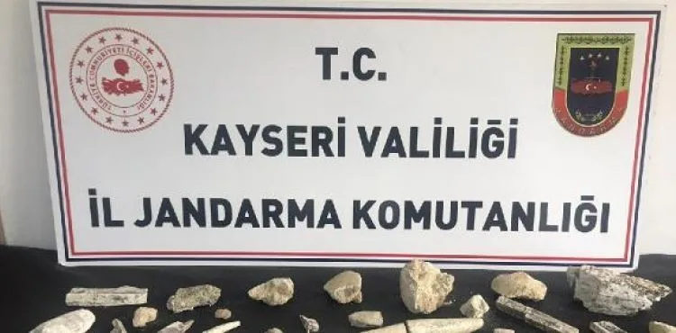 Kayseri’de fildişi fosili ve fosil kalıntıları ele geçirildi