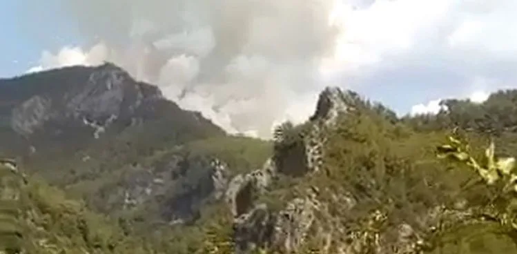 Alanya'da orman yangını