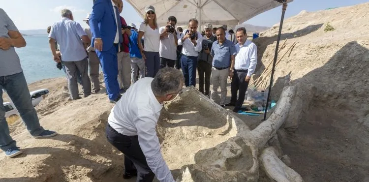DÜNYANIN İLGİSİNİ ÇEKEN FOSİLLER BU MÜZEDE SERGİLENECEK
