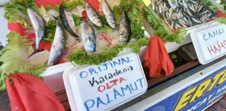 SEZONUN İLK PALAMUTLARI TEZGAHLARDAKİ YERİNİ ALDI
