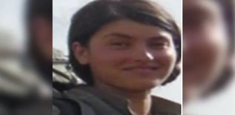 VAN'DA ETKİSİZ HALE GETİRİLEN TERÖRİSTLERDEN BİRİ GRİ KATEGORİ'DE