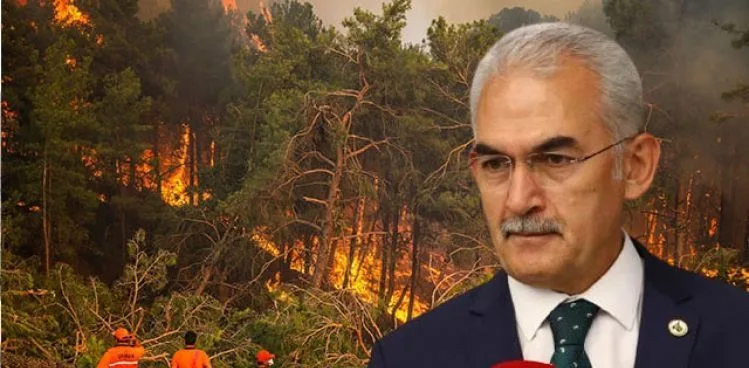 'MUĞLA VE ANTALYA'DA ORMANLARIN SADECE YÜZDE 5'İ YANGINLARDAN ETKİLENDİ'