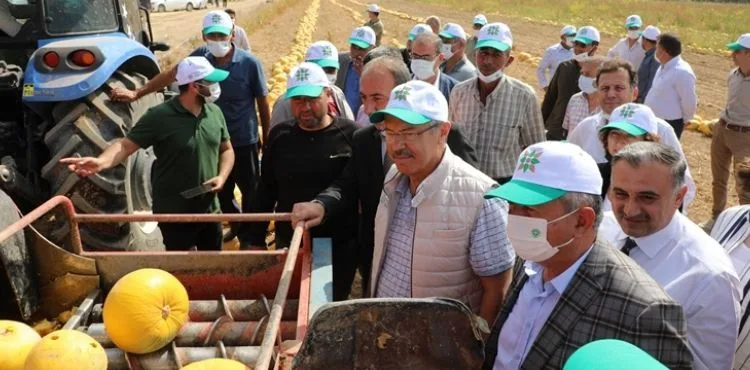 TÜRKİYE’DE BİR İLK KAYSERİ ŞEKER GELİŞTİRDİ KAYARGE VE KEYKUBAT YÜZ GÜLDÜRDÜ!