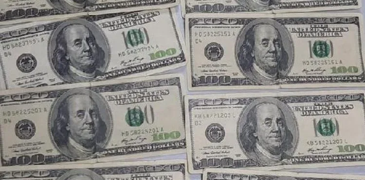 Sahte dolar bozdurmak isteyen 1 kişiye gözaltı