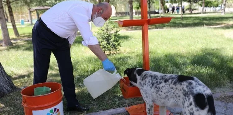 BAŞKAN ÇOLAKBAYRAKDAR, “KÜÇÜK DOSTLAR AMBULANSI, 4 BİN 401 CAN KURTARDI”
