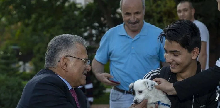 BÜYÜKŞEHİR, SOKAK HAYVANLARININ YANINDA