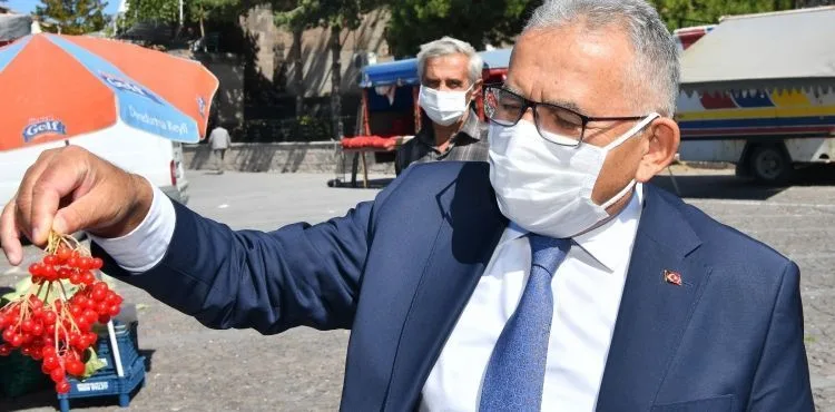 KAYSERİ’NİN KIRMIZI ALTINI GİLABURU’DA HASAT BAŞLADI